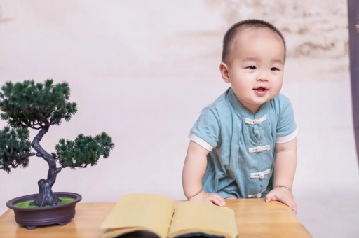 宜春可爱的企鹅宝宝